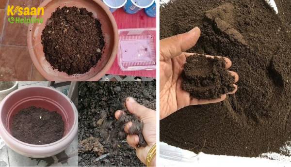 पूर्व-इसरो वैज्ञानिक ने मलबे से अपनी मिट्टी बनाई, घर पर 70 खाद्य फसलें उगायीं